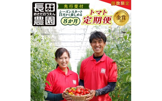 【先行受付】個数限定 トマト 定期便 全8回 溢れる 果汁 さくらんぼトマト 独創的 果肉 食感 いちごトマト 色 形 さまざま ジュエリートマト 濃厚 甘み 酸味 バランス 絶妙 フルーツトマト 碧南にんじん トマトジュース 新たまねぎ 野菜 愛知県 碧南市 送料無料 H004-207