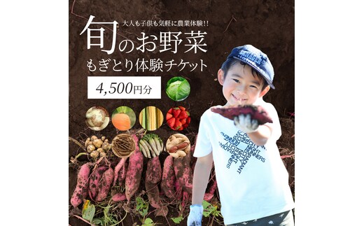 【旬のお野菜・もぎとり体験チケット 4,500円分】何名様でもご利用可能！ 野菜 農業体験 収穫 畑 農園 チケット 体験 プレゼント H025-011