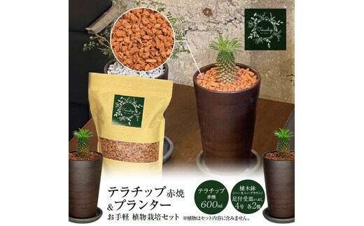 三河焼植木鉢ハーモニーブラウン【テラチップ赤焼】プランター お手軽植物栽培セット 園芸 粘土 鉢 植物 土 シルバー 赤 茶 H188-004