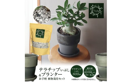 三河焼 植木鉢 ダークシルバー【テラチップいぶし】プランター お手軽 植物栽培セット 園芸 粘土 鉢 植物 土 シルバー 銀 H188-001