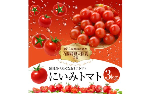 【内閣総理大臣賞受賞】毎日食べたくなるミニトマト３kg 農林水産大臣賞受賞 日本農業賞大賞受賞 H031-005