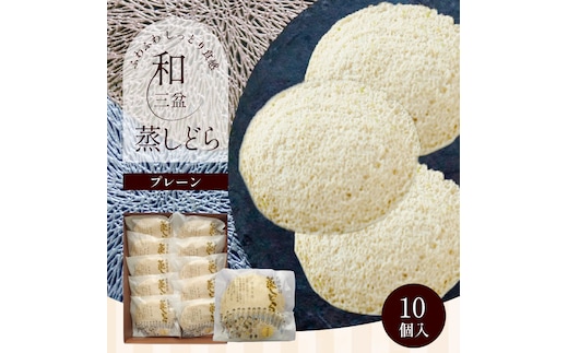 【蒸しどら プレーン 10個入 】和三盆 どら焼き 餡 ふわふわ しっとり食感 H181-004