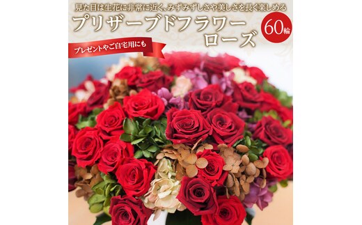 【日付指定可能】プリザーブドフラワーローズ60輪のアレンジメント 薔薇 バラ ギフト プレゼント ラッピング 産地直送 インテリア お花 フラワー ボリューム満点 H193-016