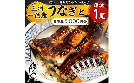【備長炭で焼く“いい焦がし”】三河一色産うなぎの蒲焼１尾と「勝〇食事券5,000円分」鰻 ウナギ 蒲焼 たれ タレ 国産 備長炭 土用 丑の日 冷凍 三河一色産 食事券 H189-006