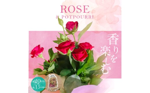 バラの花束とバラのポプリ サシェ 匂袋 H092-063