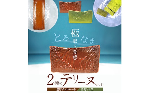 【テリーヌ専門店L】（約２００g）濃厚抹茶・濃厚チョコレート2種のテリーヌセット【グルテンフリー・保存料不使用】抹茶 スイーツ 西尾抹茶 H173-010