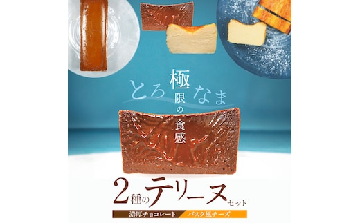 【テリーヌ専門店L】（約２００g）濃厚チョコレート・バスク風チーズ2種のテリーヌセット【グルテンフリー・保存料不使用】 スイーツ H173-012