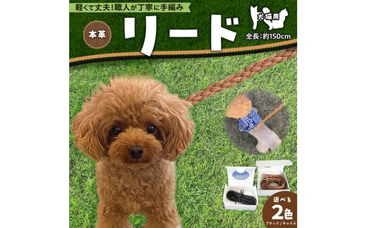 職人手作りの【本革】犬猫用リード 編み込みレザー ペット 愛犬 小型犬 犬 猫 本革 編み込み リード レザーリード ロングリード おしゃれ 人気 プレゼント 可愛い 紐 本革 レザー 日本製 H066-044 