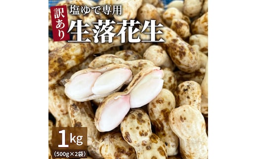 【2026年発送】事前予約 訳あり やみつき極うま “金の生落花生” 塩ゆで専用 1kg(500g×2袋） H105-143