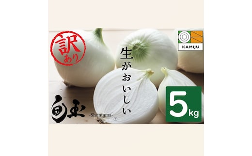 (2026年発送)訳あり 新玉ねぎ 生がおいしい 神重農産のブランド玉ねぎ「旬玉」5kg ブランド玉ねぎ 玉ねぎ 国産 愛知県産 野菜 やさい 農家直送 畑直送 旬 期間限定 たまねぎ 先行予約 旬 特産 高評価 高リピート 人気 H105-153