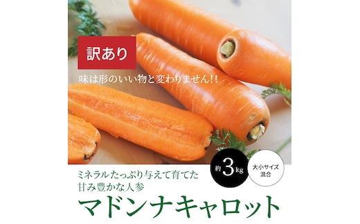 ＜フジテレビ『どっちのふるさと？』で紹介されました！＞ 訳あり 冬期限定 にんじん マドンナキャロット 容量 3kg 先行予約 国産 甘い フルーツのような味わい お子様にもおすすめ 栄養 神重農産 野菜 愛知県 碧南市 送料無料 H105-155