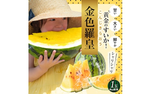 〈予約受付〉【2027年発送】甘さを追求したすいか「金色羅皇」1玉 すいか 甘い 糖度 黄色 果物 フルーツ 数量限定 碧南市 鈴良農園 H141-014