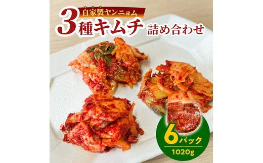 3種キムチ詰め合わせ （本格白菜キムチ・ニンニク無し白菜キムチ・大根キムチ） 計6P（3種×2P） 食べ比べ 手作り 無添加 本格 発酵食品 健康食品 キムチ 白菜 大根 漬物 H147-006