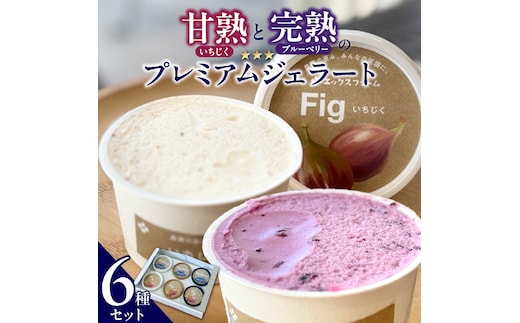 甘熟いちじくとブルーベリーのプレミアムジェラートセット 各1個 碧南市産 甘熟 いちじく 完熟 ブルーベリー 贅沢 スイーツ デザート おやつ カップ 6種 食べ比べ チーズ ミルク ヨーグルト H164-012