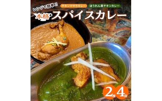 【レンジで簡単】本格スパイスカレー２種４袋セット 本格スパイスカレー 食べ比べ おやつ H177-007