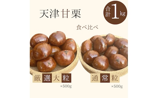 この道50年の職人が焼く、やさしい甘みたっぷりの「厳選大粒と通常サイズ」合計1kg！焼きたて 栗 くり 栗爪 殻付き お菓子 おつまみ 人気 高リピート 小分け 栗ご飯 栗きんとん 甘露煮 H045-063