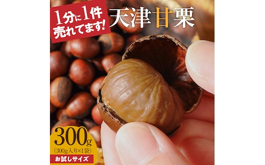 天津甘栗 衣浦食品 300g 栗爪付き やさしい甘み 河北省 栗 甘栗 焼き栗 保存料 不使用 焼いた当日 発送 この道50年 職人 専門店 栗ご飯 栗きんとん おやつ 常温 お取り寄せ 愛知県 碧南市 送料無料 H045-068
