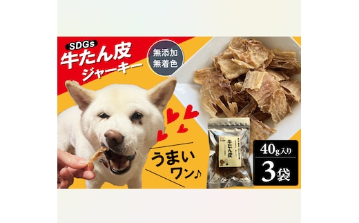 愛犬のおやつ 牛たん皮 40ｇ×3個入り 無添加 無着色 安心 国内生産 愛犬 おやつ ワンちゃん わんこ 喜ぶ ジャーキー SDGｓ H160-010