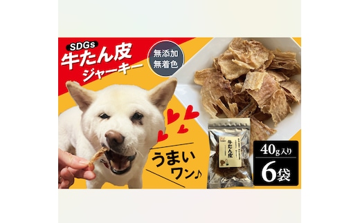 愛犬のおやつ 牛たん皮 40ｇ×6個入り 無添加 無着色 安心 国内生産 愛犬 おやつ ワンちゃん わんこ 喜ぶ ジャーキー SDGｓ H160-011