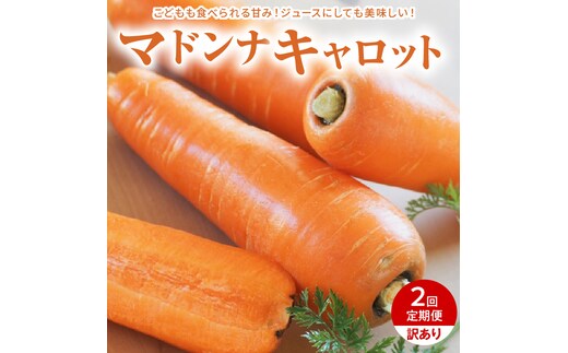 【予約受付】＜フジテレビ『どっちのふるさと？』で紹介されました！＞訳あり 隔月2回定期便 にんじん 12月・2月お届け マドンナキャロット にんじん 人参 ニンジン 野菜 やさい 国産 碧南市 健康 食品ロス削減 甘い 先行予約 旬 特産 高評価 高リピート 人気 隔月 2026年度発送 H105-170