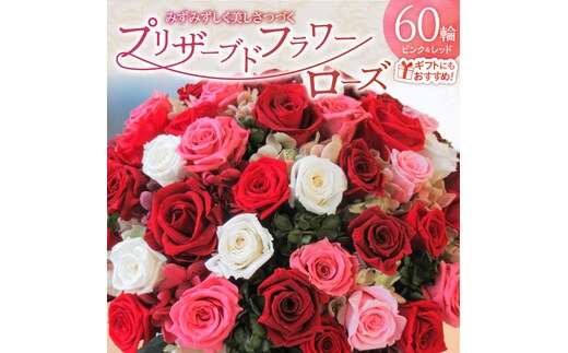 【日付指定可能】プリザーブドフラワーローズ（ピンク＆レッド）60輪のアレンジメント 薔薇 バラ ギフト プレゼント ラッピング 産地直送 インテリア お花 フラワー ボリューム満点 H193-020