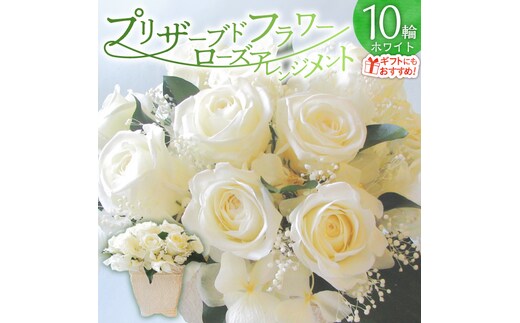 【日付指定可能】 プリザーブドフラワーローズ１０輪 プリザーブドフラワーアレンジメント ホワイト 薔薇 バラ ギフト プレゼント ラッピング 産地直送 インテリア お花 フラワー H193-026