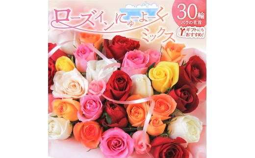 〈日付指定も可能〉 観賞はもちろん！バラ風呂やフラワーシャワーに！ ローズインにゅーよーくミックス３０輪 バラ３０輪詰め合わせ 風呂 薔薇 ローズ ギフト プレゼント ラッピング インテリア お花 フラワー H193-021