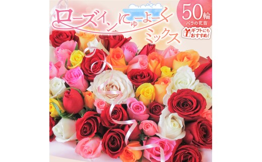 〈日付指定も可能〉 観賞はもちろん！バラ風呂やフラワーシャワーに！ ローズインにゅーよーくミックス５０輪 バラ５０輪詰め合わせ 風呂 薔薇 ローズ ギフト プレゼント ラッピング インテリア お花 フラワー H193-022