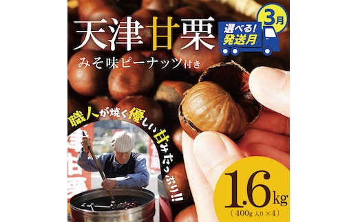 【2026年3月発送】この道50年の職人が焼く、やさしい甘みたっっっぷり！「天津甘栗」 1.6kg みそ味ピーナッツ付き 焼きたて 栗 くり 栗爪 殻付き お菓子 おつまみ 人気 高リピート 小分け 栗ご飯 栗きんとん 甘露煮 H045-052_Mar