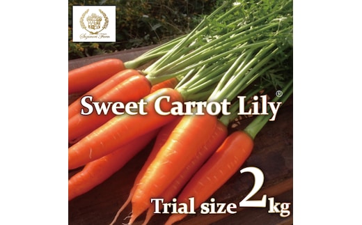 メディア出演多数！！ 【期間限定】 （ お試し ） 鈴盛農園の甘～いにんじん 『スウィートキャロットリリィ』 2kg 人参 甘い ご家庭用 ジュース サラダ スムージー ジューシー 安心 試用 自慢 H022-016