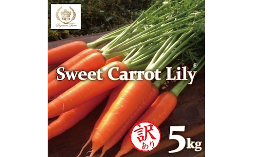 メディア出演多数！！ 【期間限定】（訳あり）鈴盛農園の甘～いにんじん 『スウィートキャロットリリィ』 5kg 人参 甘い ご家庭用 ジュース サラダ スムージー ジューシー 安心 H022-019