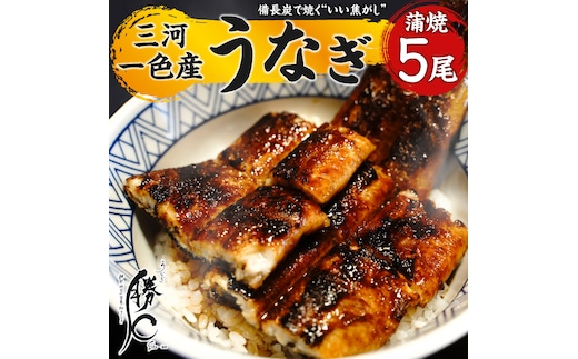 【備長炭で焼く“いい焦がし”】三河一色産うなぎの蒲焼5尾 鰻 ウナギ たれ タレ 国産 備長炭 土用 丑の日 冷凍 三河一色産 H189-014