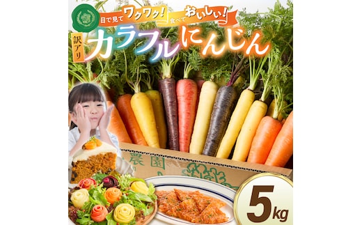 〈予約受付〉 メディア出演多数！【期間限定】（訳あり） 冬の寒さでぎゅっと濃い！虹色のカラフルにんじん 5kg 鈴盛農園 農家直送 甘い スーパーフード 健康 自慢 ジュース サラダ ギフト 贈り物 βカロテン ポリフェノール リコピン ジューシー 規格外 自慢 おためし H022-017