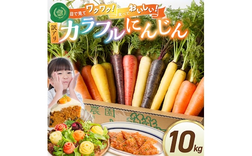 〈予約受付〉 メディア出演多数！【期間限定】（訳あり） 冬の寒さでぎゅっと濃い！虹色のカラフルにんじん 10kg 鈴盛農園 農家直送 甘い スーパーフード 健康 自慢 ジュース サラダ ギフト 贈り物 βカロテン ポリフェノール リコピン ジューシー 規格外 自慢 おためし H022-018