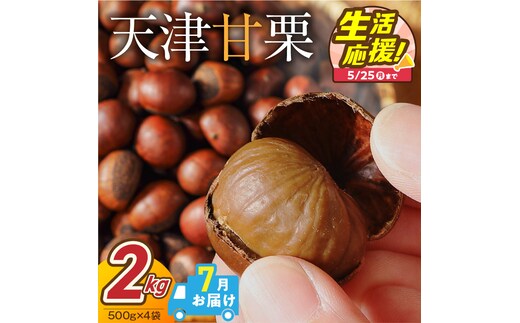 【2026年7月発送】【特別容量 1.6kg⇒2kg】 （ 生活応援 ） この道50年の職人が焼く、やさしい甘みたっっっぷり！「天津甘栗」 2kg 焼きたて 栗 くり 栗爪 殻付き お菓子 おつまみ 人気 高リピート 小分け 栗ご飯 栗きんとん 甘露煮 選べる 発送月 感謝を込めて 碧南市 H045-107_Jul