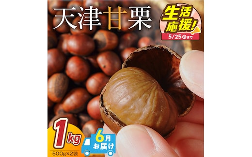 【2026年6月発送】【特別容量 800g⇒1kg】 （ 生活応援 ） この道50年の職人が焼く、やさしい甘みたっっっぷり！「天津甘栗」 1kg 焼きたて 栗 くり 栗爪 殻付き お菓子 おつまみ 人気 高リピート 小分け 栗ご飯 栗きんとん 甘露煮 感謝を込めて 碧南市 H045-106_Jun