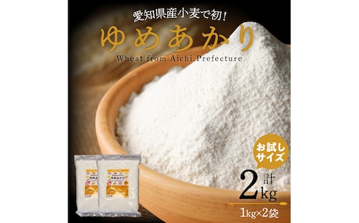 （お試し）【小麦粉】愛知県産 ゆめあかり 国産 パン用 強力粉 1kg×2袋（計2kg） H008-296