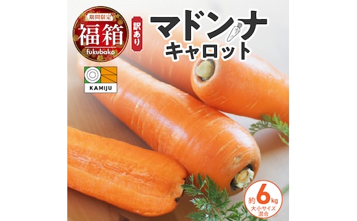【福箱★2027】訳あり！「マドンナキャロット」 6kg H105-276