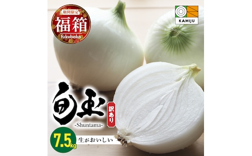 【福箱★2027】 訳あり 新玉ねぎ 旬玉 7.5kg 生がおいしい神重農産のブランド玉ねぎ H105-275