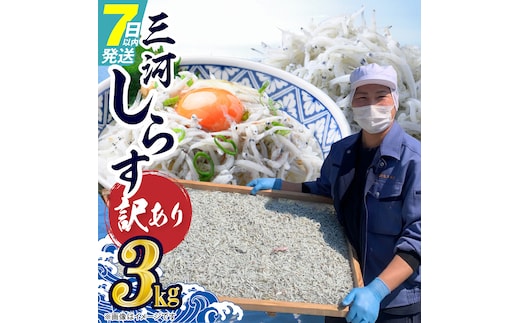 訳あり 3kg！バラエティ豊富な三河しらす H018-069