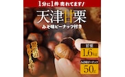 この道50年の職人が焼く、やさしい甘みたっっっぷり！「天津甘栗」 1.6kg みそ味ピーナッツ付き 焼きたて 栗 くり 栗爪 殻付き お菓子 おつまみ 人気 高リピート 小分け 栗ご飯 栗きんとん 甘露煮 H045-052