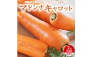 ＜フジテレビ『どっちのふるさと？』で紹介されました！＞訳あり 隔月2回定期便 にんじん 12月・2月お届け マドンナキャロット にんじん 人参 ニンジン 野菜 やさい 国産 碧南市 健康 食品ロス削減 甘い 先行予約 旬 特産 高評価 高リピート 人気 隔月 H105-170