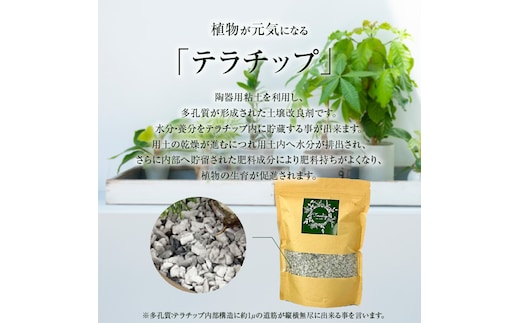 三河焼 植木鉢 ダークシルバー【テラチップいぶし】プランター お手軽 植物栽培セット H188-001 | dショッピングふるさと納税百選