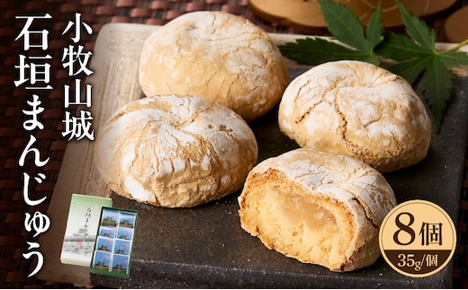 小牧山城 石垣まんじゅう