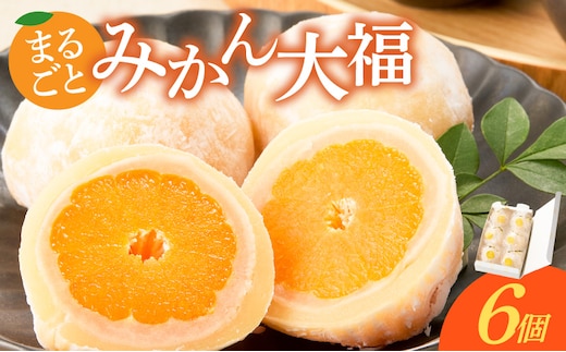 みかん大福 6個入り【贈答・熨斗対応】 ［009B15］
