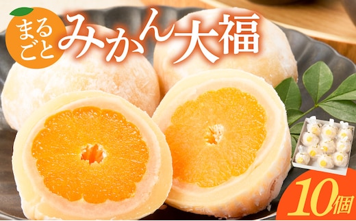 みかん大福 10個入り【贈答・熨斗対応】 ［009B16］