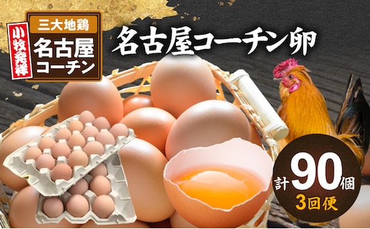 【3回便】名古屋コーチン卵(30個入り)×3回（計90個）［生卵 名古屋コーチンたまご 鶏卵 名古屋コーチン卵 卵ギフト 高級卵 ぜいたくたまご 卵セット 卵焼き 卵かけご飯 ゆで卵 卵とじ 濃厚卵 地鶏卵 無添加卵］ ［006K01-T］