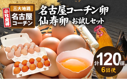 【6回便】名古屋コーチン卵・仙寿卵お試しセット（各10個入り）×6回（計各60個） ［生卵 名古屋コーチンたまご 鶏卵 名古屋コーチン卵 卵ギフト 高級卵 ぜいたくたまご 卵セット 卵焼き 卵かけご飯 ゆで卵 卵とじ仙寿卵 濃厚卵 地鶏卵 無添加卵］ ［006K04-T］