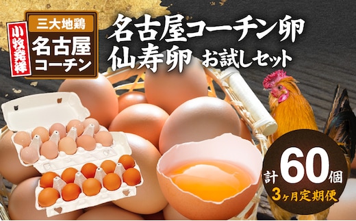 【3ヶ月定期便】名古屋コーチン卵・仙寿卵お試しセット（各10個入り）×3回（計各30個） ［生卵 名古屋コーチンたまご 鶏卵 名古屋コーチン卵 卵ギフト 高級卵 ぜいたくたまご 卵セット 卵焼き 卵かけご飯 ゆで卵 卵とじ仙寿卵 濃厚卵 地鶏卵 無添加卵］