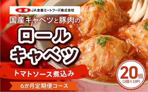 ＜6か月定期便＞国産キャベツと豚肉のロールキャベツ（10P入り）［022J44-T］